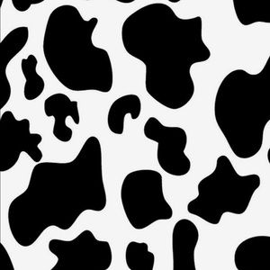 Meet your Posher, Maggie